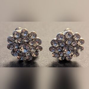 Elegant Silver Crystal Flower Earrings